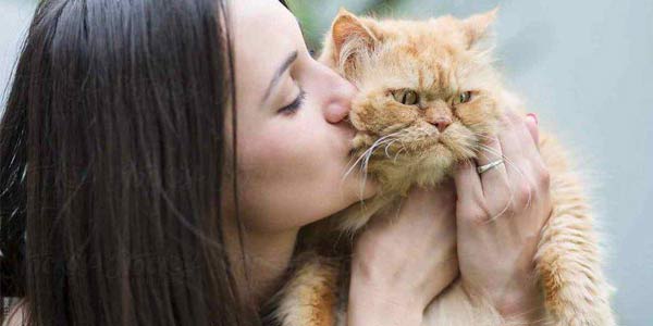 baciare il gatto coronavirus