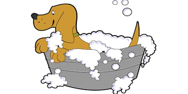 Cane che fa il bagno nella vasca