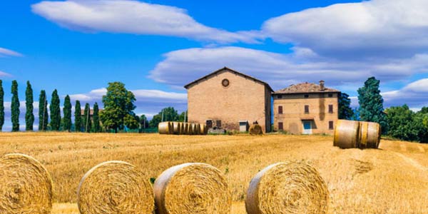 foto di campagna