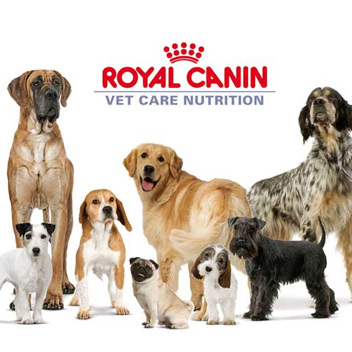 Royal Canin